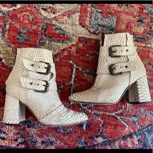 FREEBIRD By Steven Joey White Snake 6